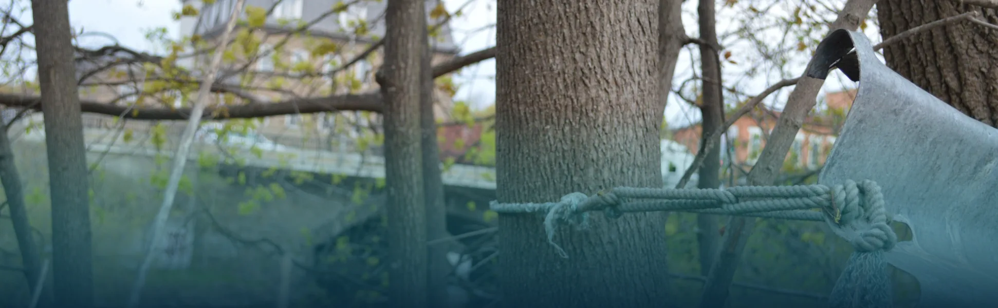 Discarded material tied to a tree on a neglected Smiths Falls property, illustrating the Nate Morris Mayor Election 2026 campaign plan for proactive by-law enforcement and stronger property standards